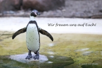 Benefiz für #s hospiz am 29.07.2017 im Zoo Eberswalde